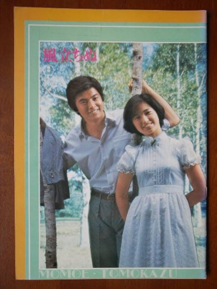 Amazon.co.jp: 映画パンフレット 風立ちぬ(1976作品) 原作： 堀